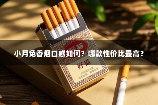 小月兔香烟口感如何?哪款性价比最高?